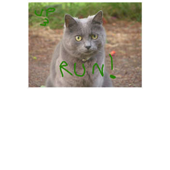 RUN!!I 🌋🏜UPDATE 3⛰🌋