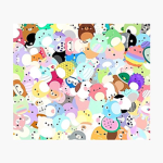 Squishmallow fam
