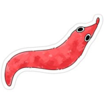 WormCult Industries