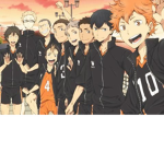 Karosuno VolleyBall Team!!(Haikyuu!!)