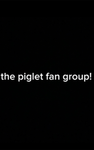 The piglet fan group