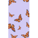 Butterfly cult :)