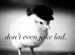 We Adore Birds
