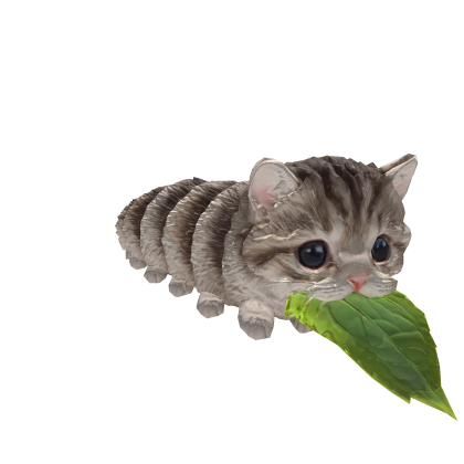 Kittypillar