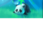 Love pandas!!