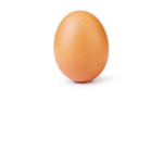 World Record Egg