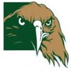 Hawks (RSFL)