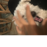Hi •-•
