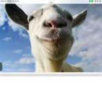 Oat my goat