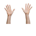 Dominant hands