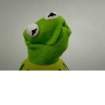 YOUR MOM KERMIT