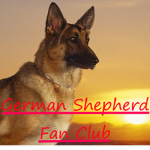 German Shepherd Fan Club!
