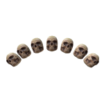 Skull Advisors