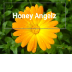 Honey Angelz