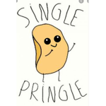 The Official Single Pringle’s