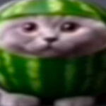 Clash Royale OBBY (UPDATE!!!)