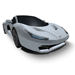 Racin The Car