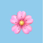 Shaggy Blossom Gang