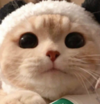 Mervan Emote Store