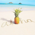 rainbow happy pineapples