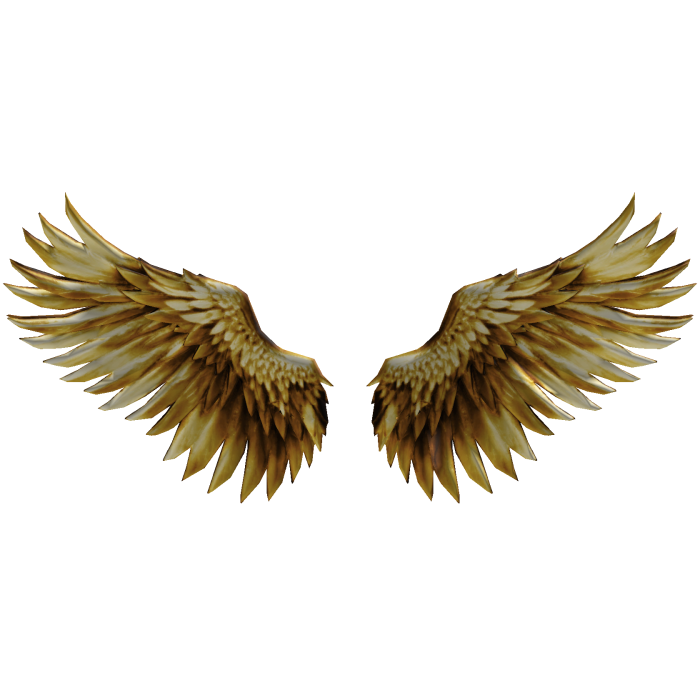 Gold Angel Wings