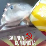 Sem nome kaka ;-;