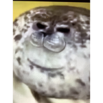*- Seal Army -*