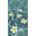 Aesthetics Kyla