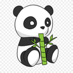 Panda squad12345
