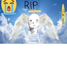 rip to my dawg barnaby.