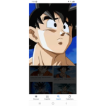 official DBZ fan group