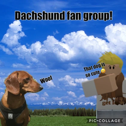 Dachshund Fan Group! Roblox group icon