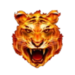 Death Tigers