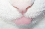 Ehhh-