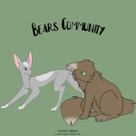 ~•Bears Community•~