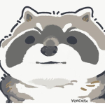 raccooba