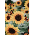 The casual Sunflowers