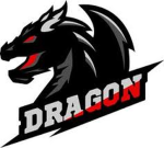 The dragón group