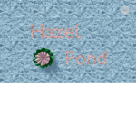 ~ H.A.Z.E.L ~ P.O.N.D ~