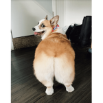 Pls ignore—