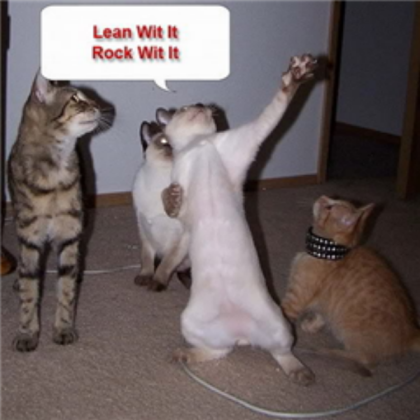 funny-dancing-cats Roblox decal