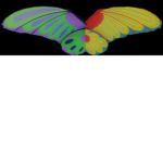 Wings of Fire POINT