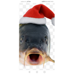 Fish boi army