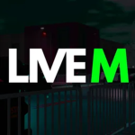 Support Team | LiveM