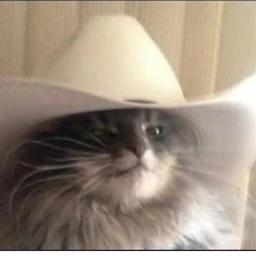 Howdy icon