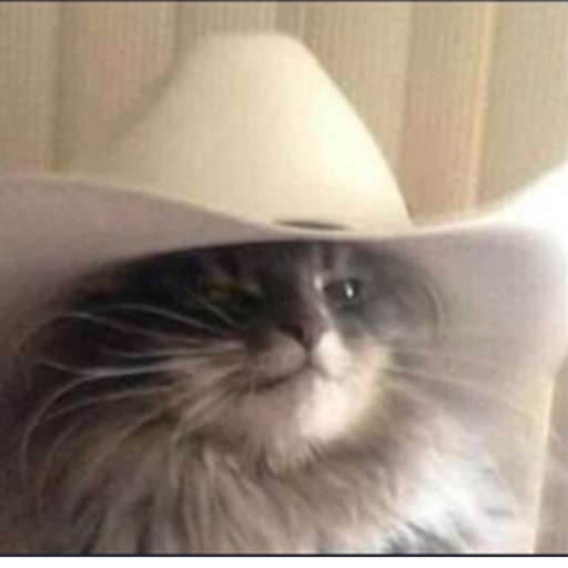 Howdy