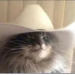 Howdy icon