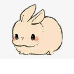 Bunny's Pet Group