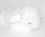 shy lullaby
