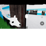 Scp site 25